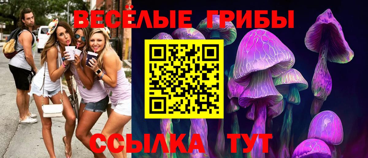 Ноябрьск  Псилоцибиновые грибы Psilocybe  Псилоцибиновые грибы GOLDEN TEACHER  Вход с VPN 