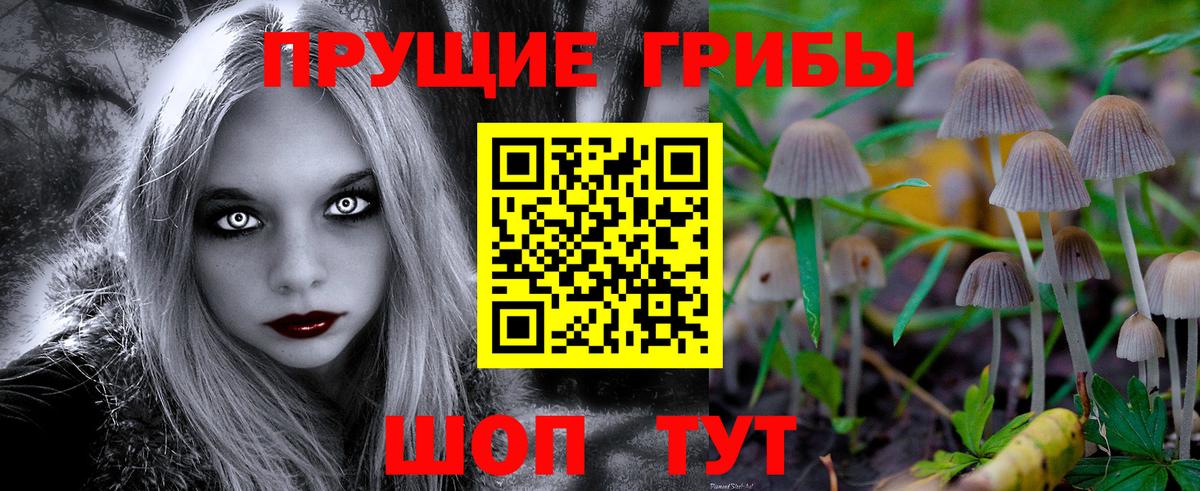Галлюциногенные грибы ЛСД Ноябрьск